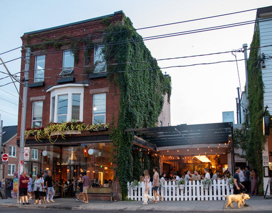 The ivy-covered Ossington brewpub with a full patio at dusk
